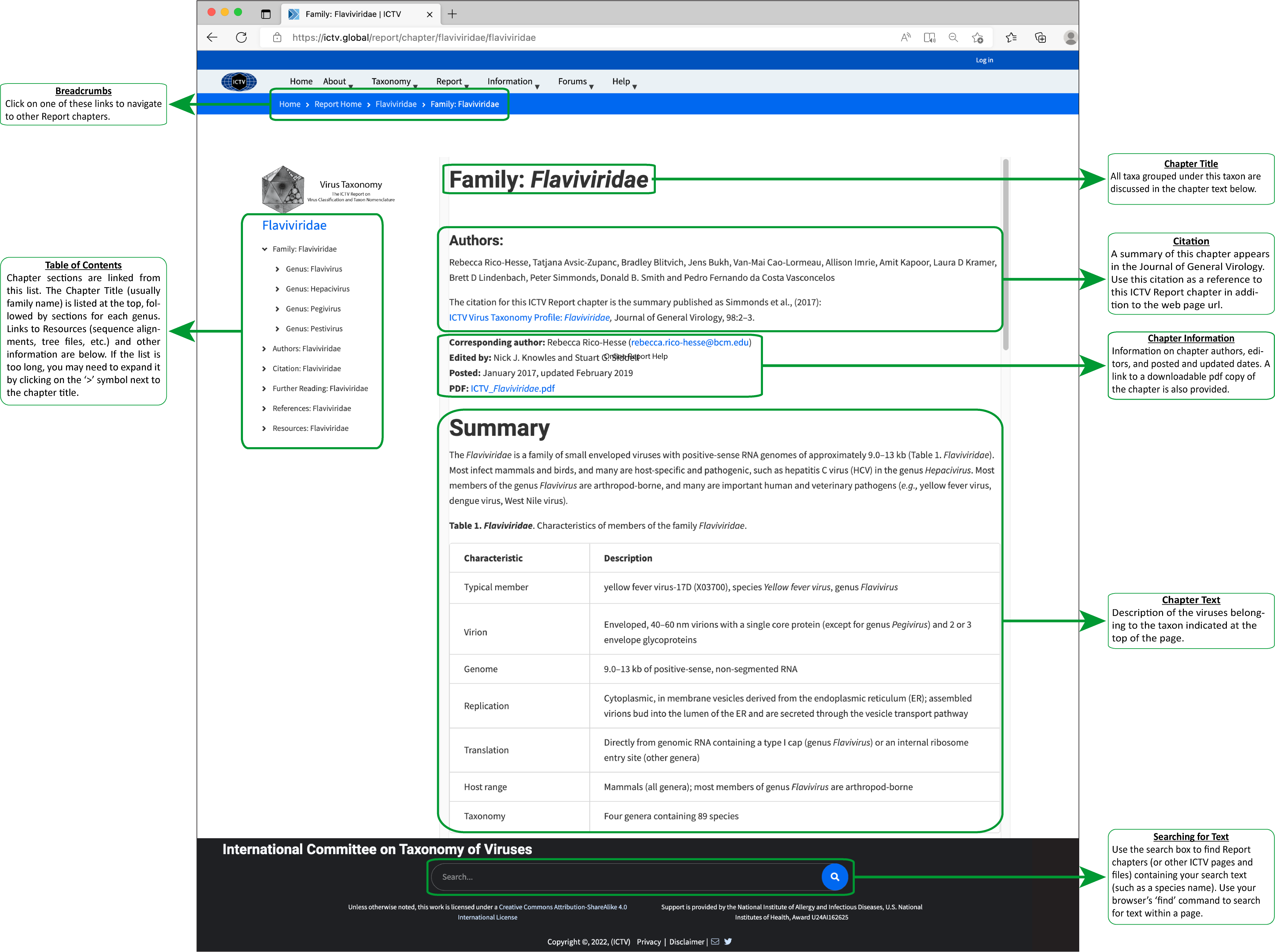 Report Web Page