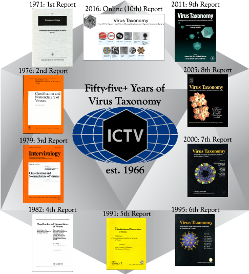 Fifty years of virus taxonomy