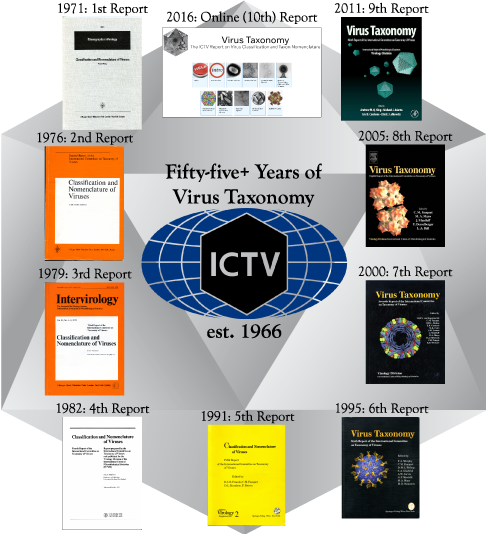 Virus The ICTV Report on Classification and Taxon Nomenclature | ICTV