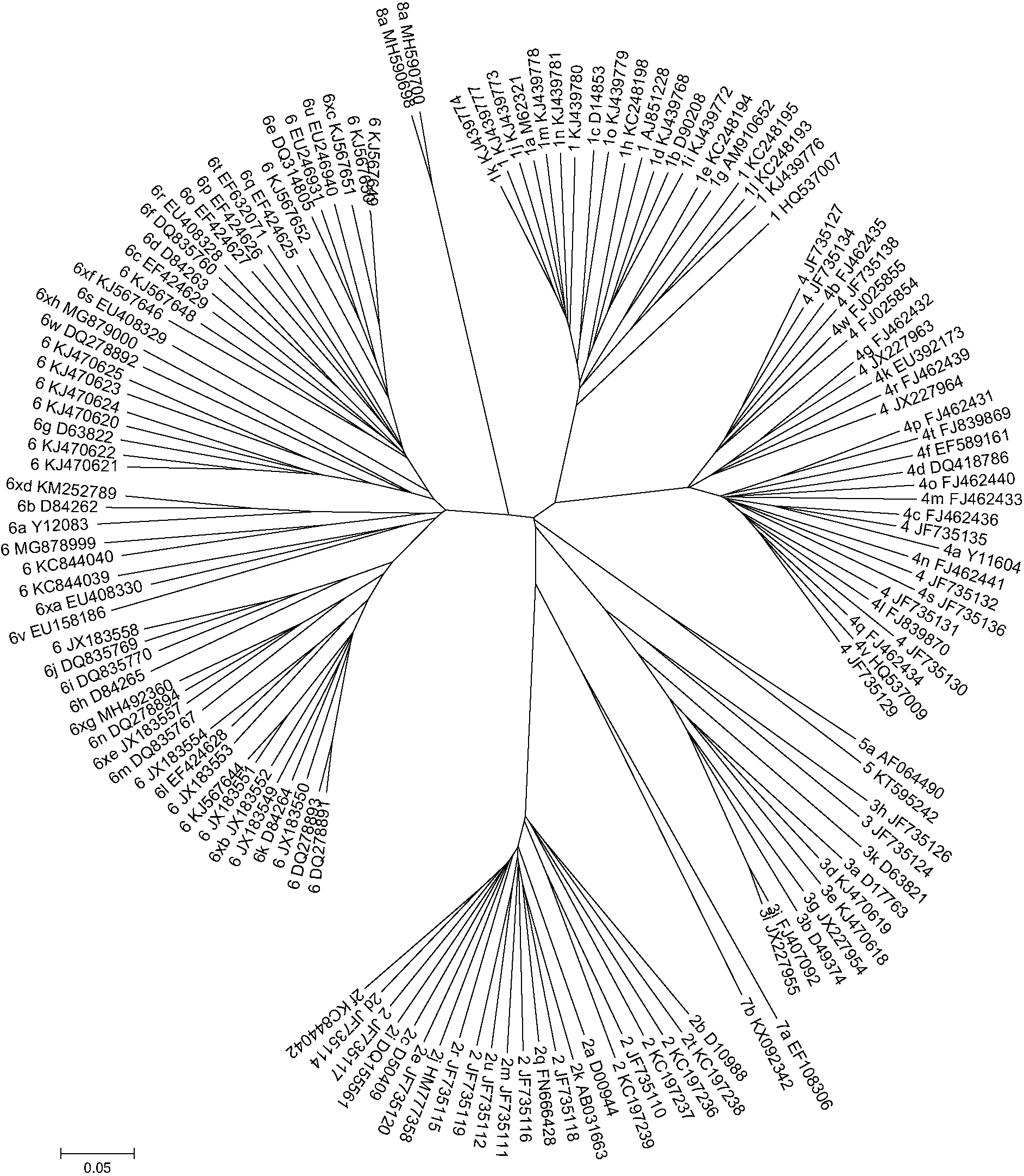 HCV TREE