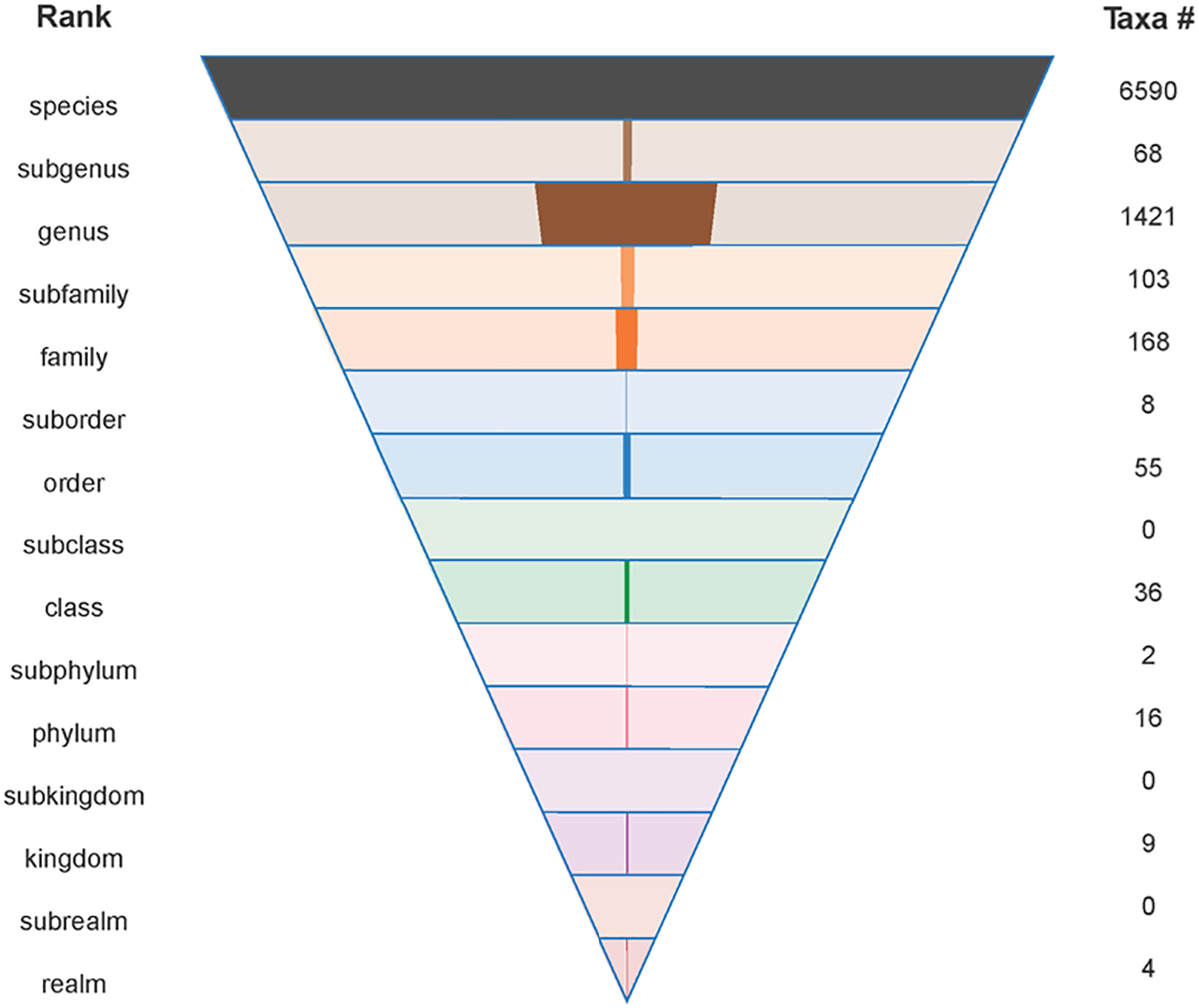 Virus Ranks and Species