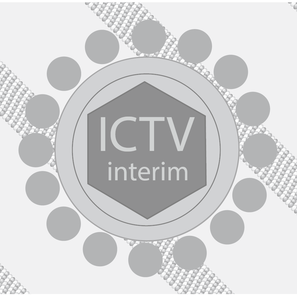 Interim page - teaser