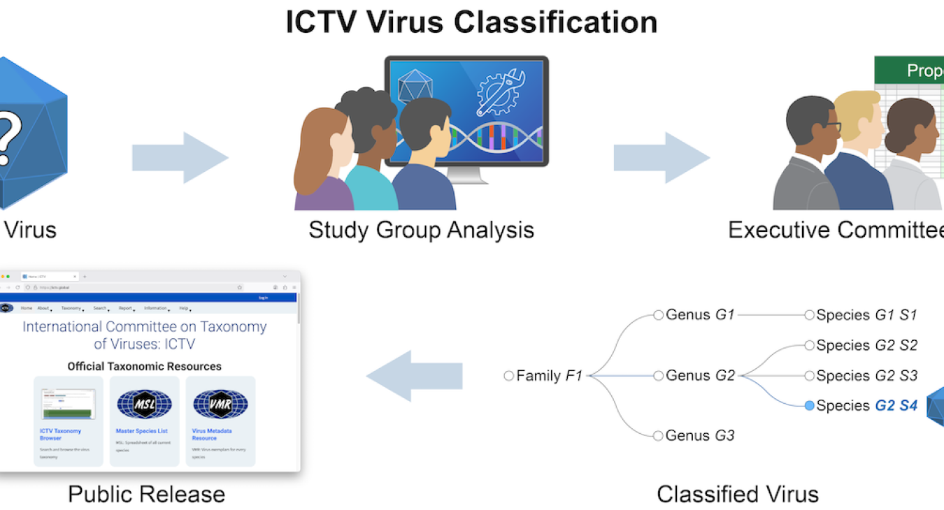 NAR Graphical Abstract