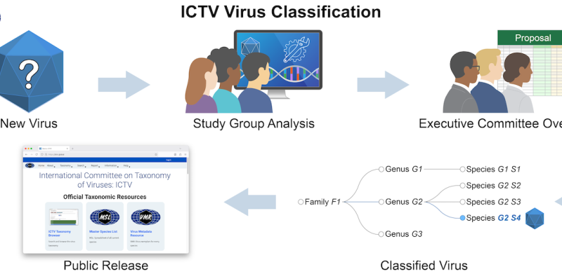 NAR Graphical Abstract