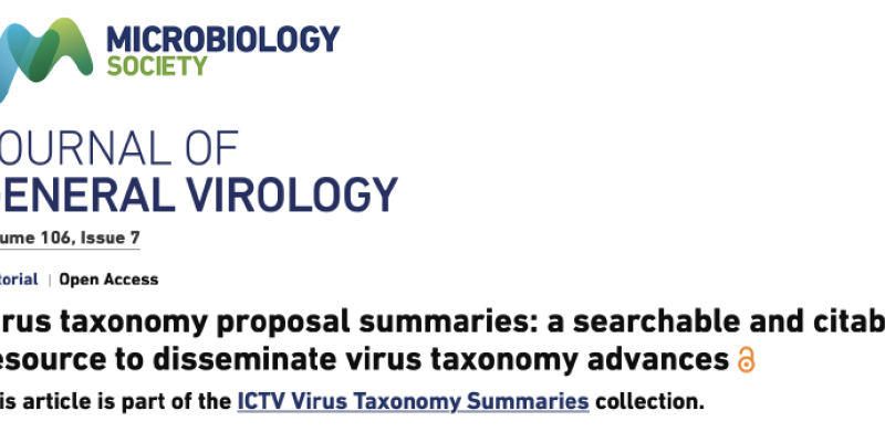 JGV Summaries