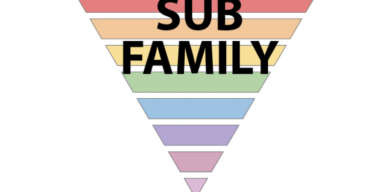 Subfamily