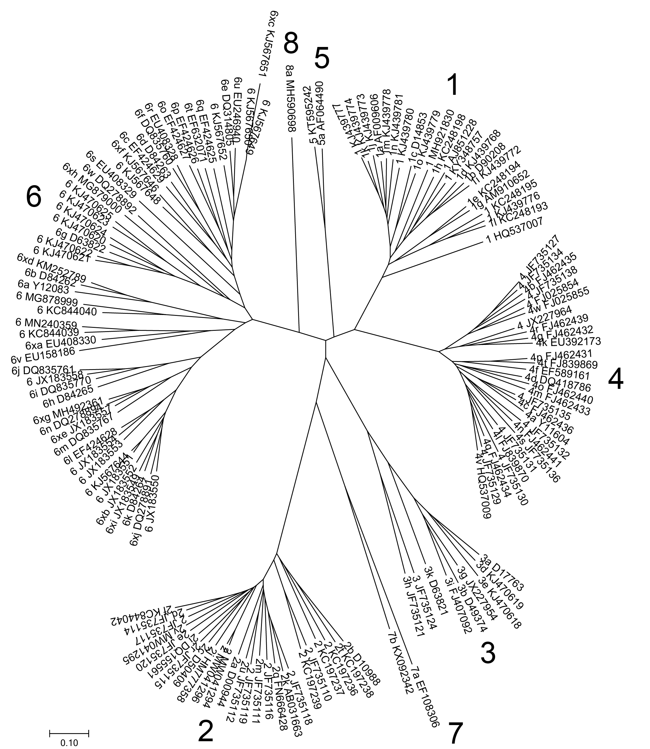 Hepatitis C virus subtype phylogeny