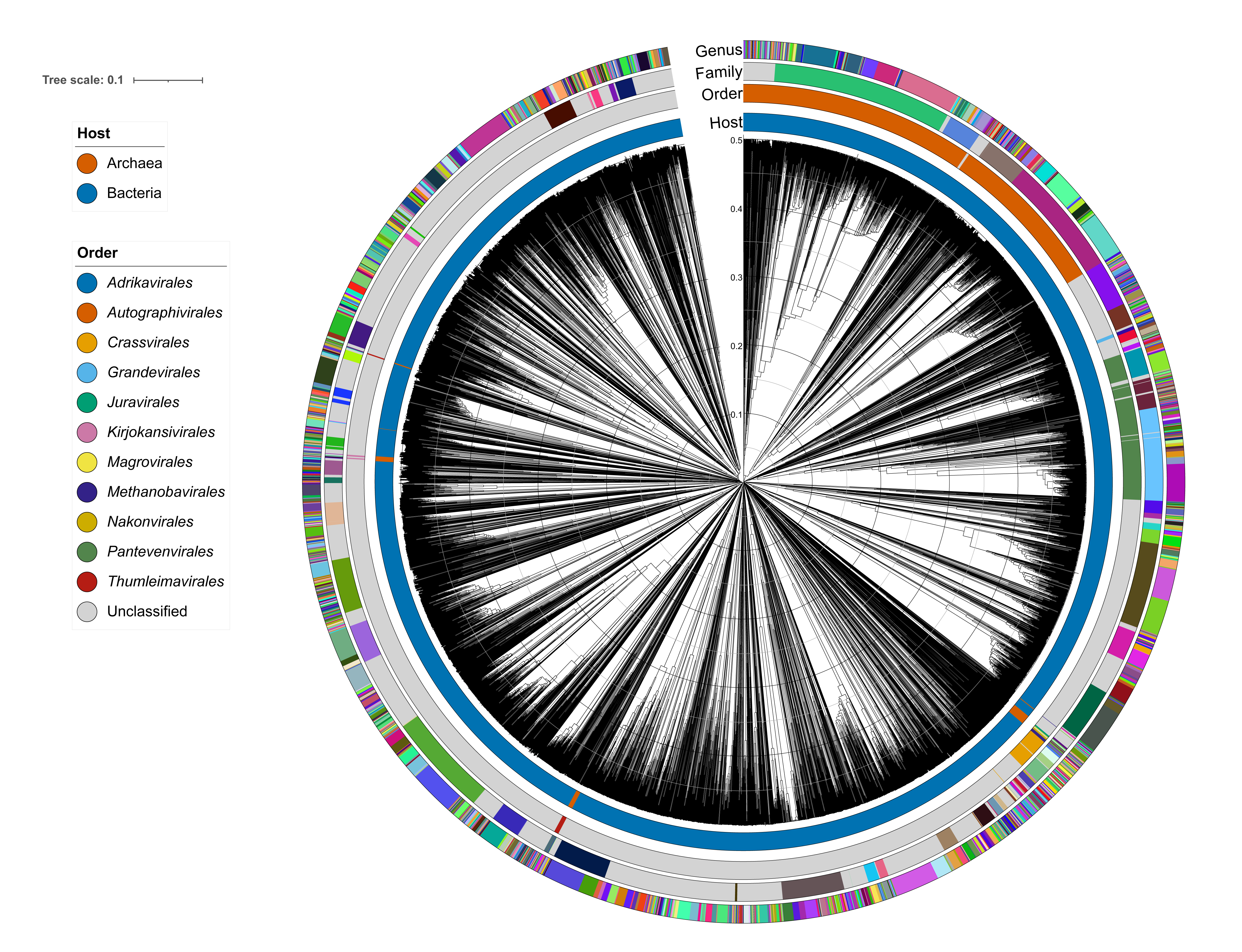 Duplodnaviria phylogeny