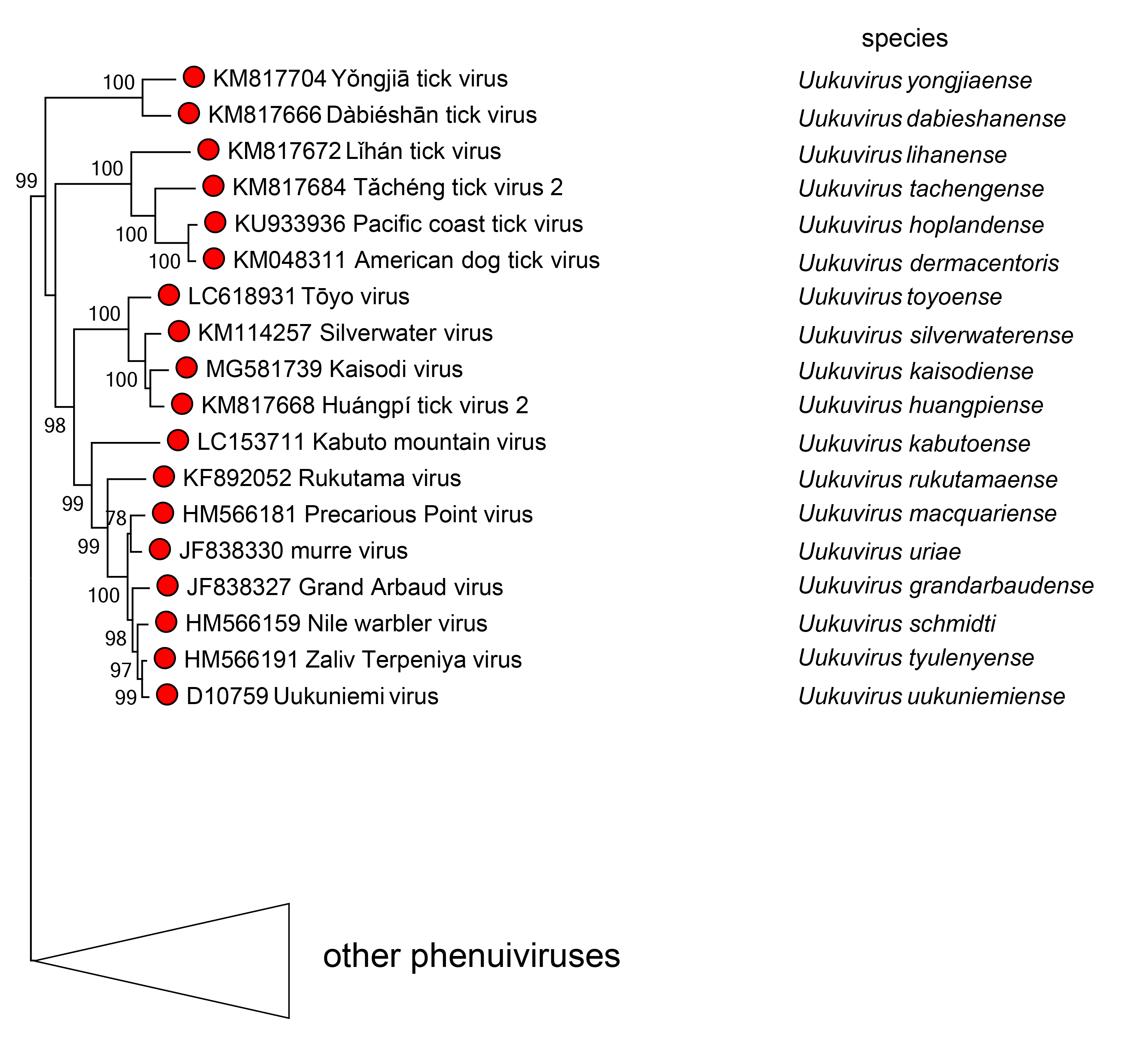 Uukuvirus phylogeny