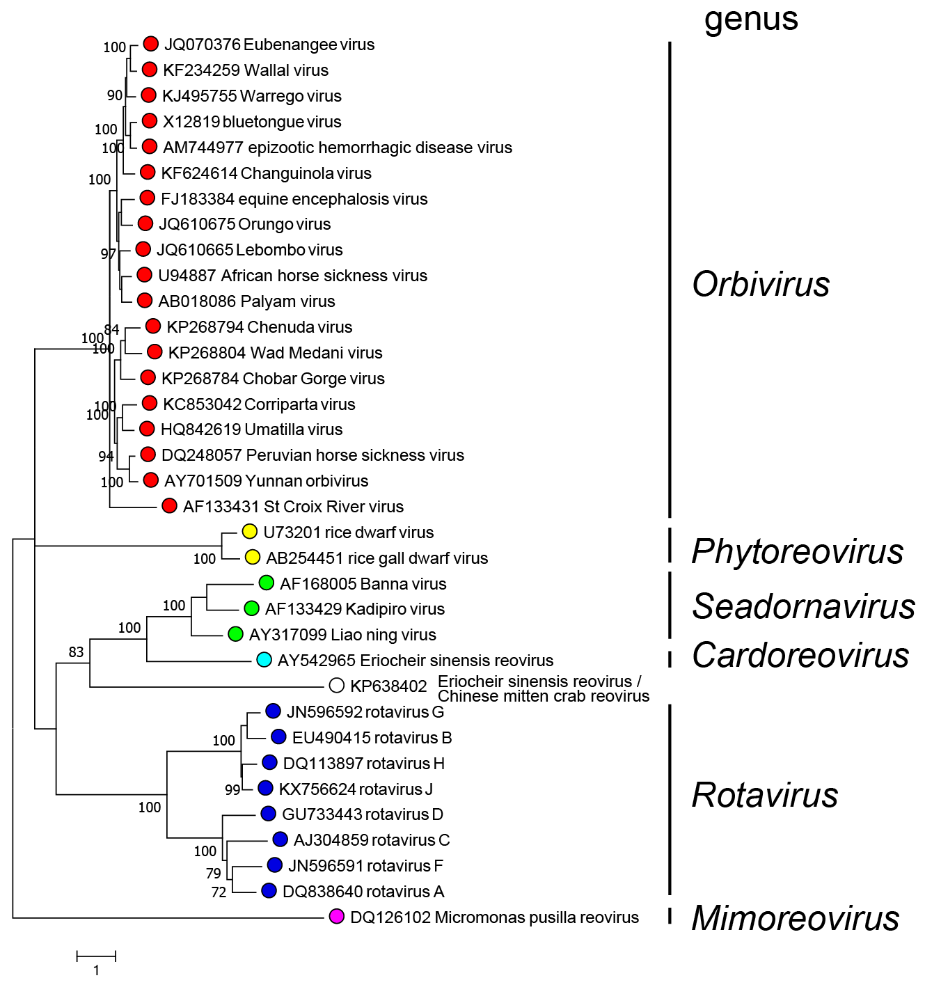 Figure 1.Sedoreoviridae