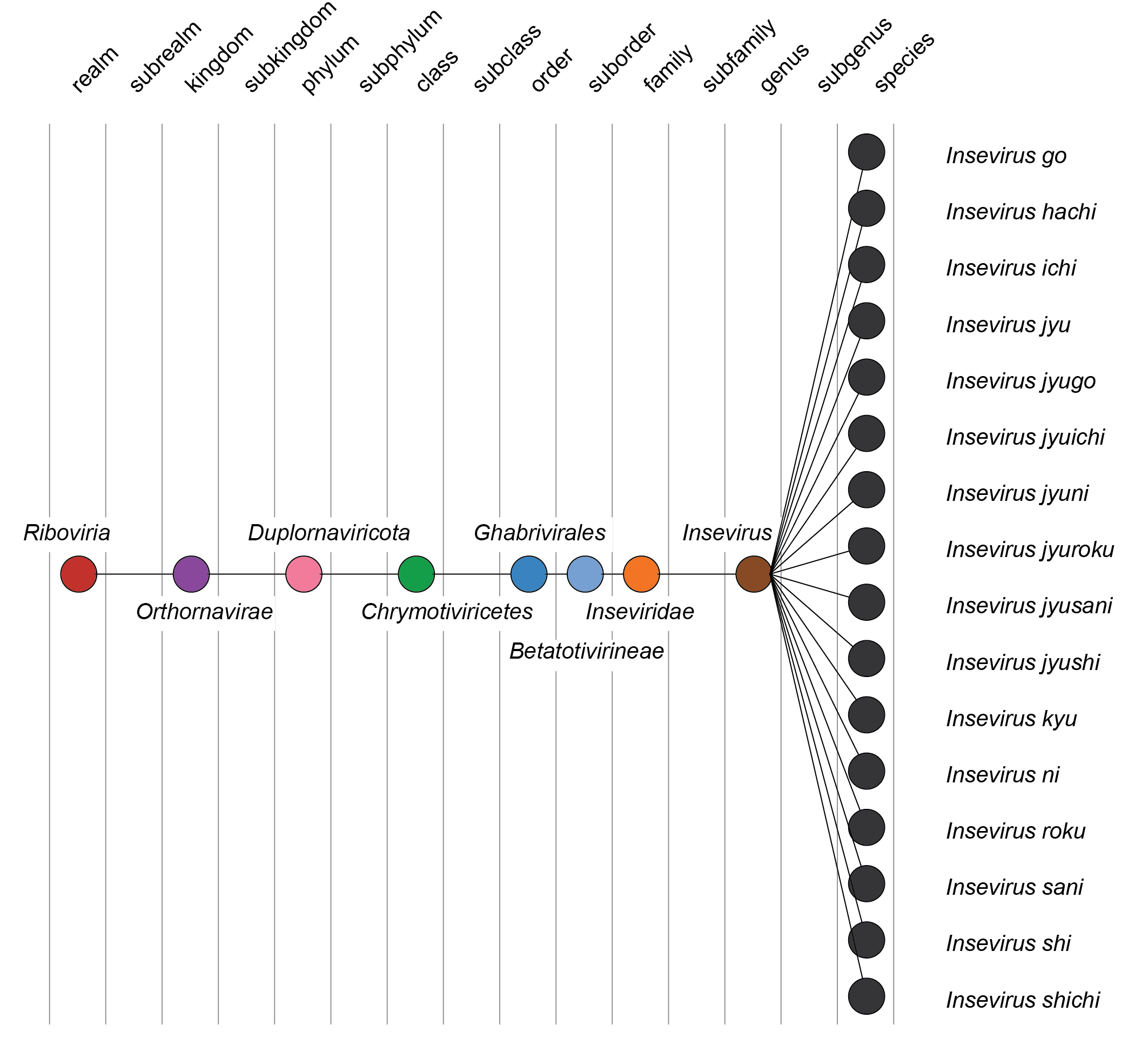 Inseviridae taxonomy