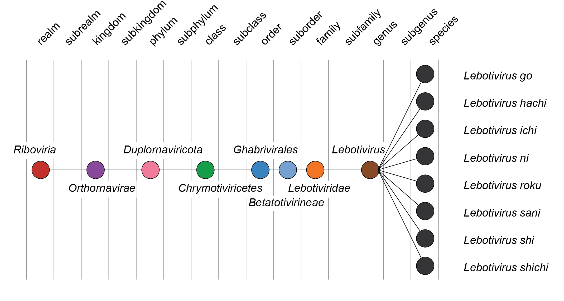 Lebotiviridae taxonomy