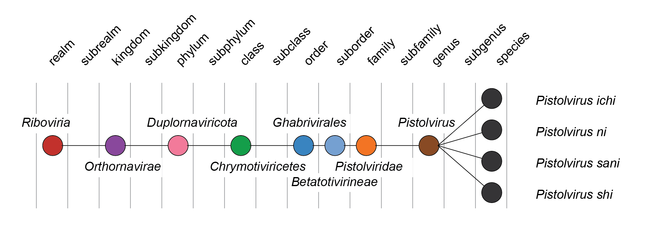 Pistolviridae taxonomy