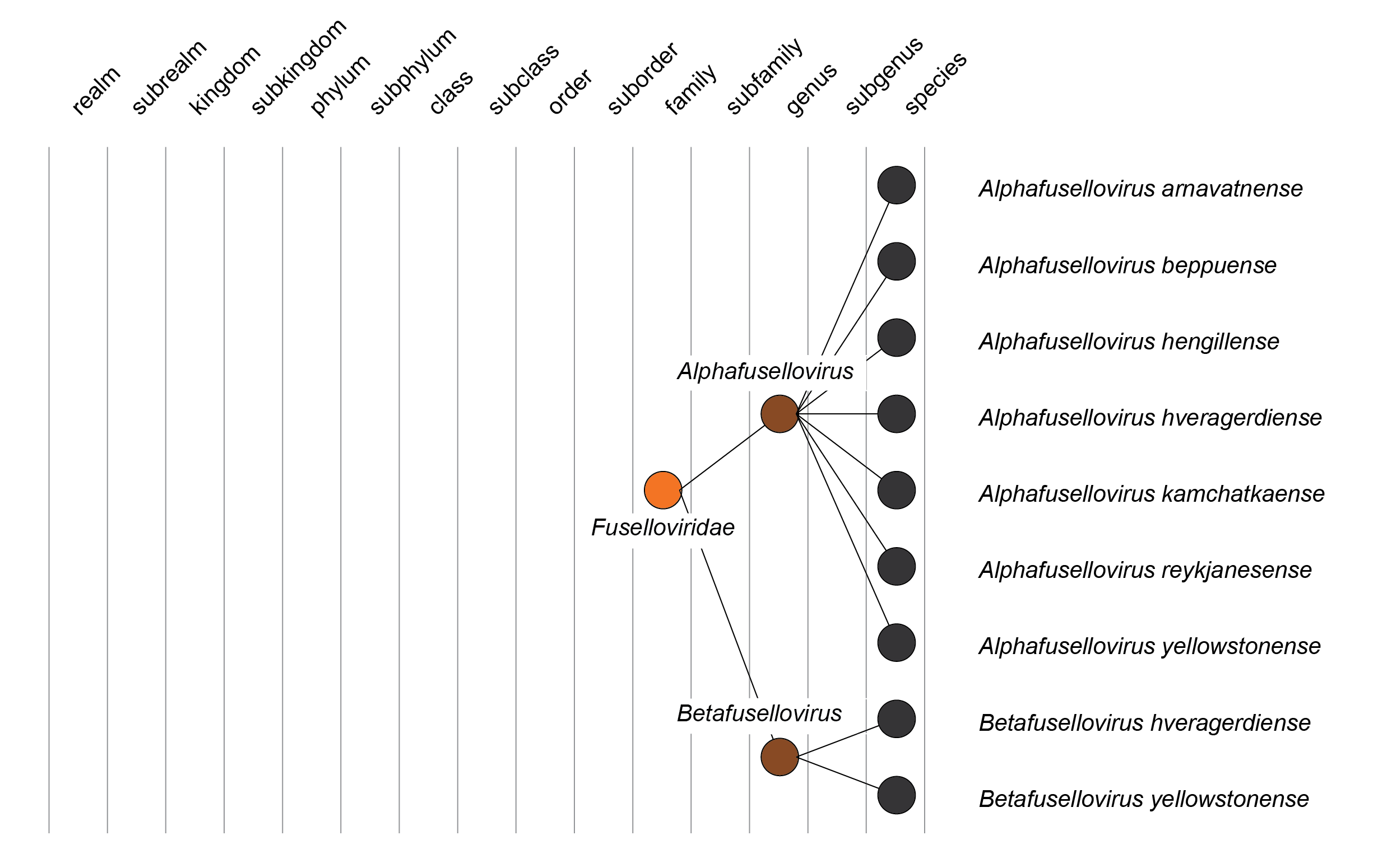 Fuselloviridae taxonomy