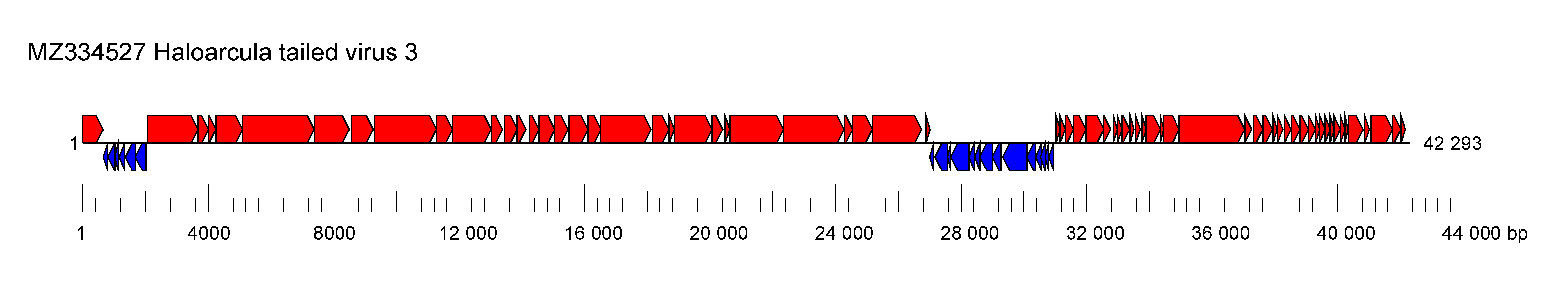 Pyrstoviridae genome