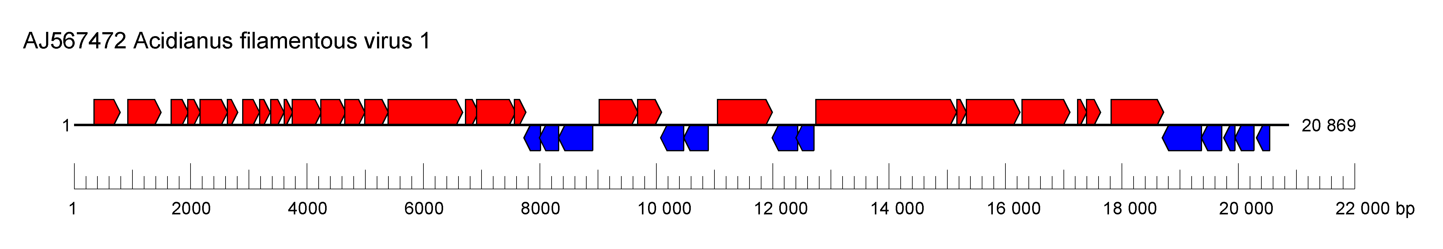 Ungulaviridae genome