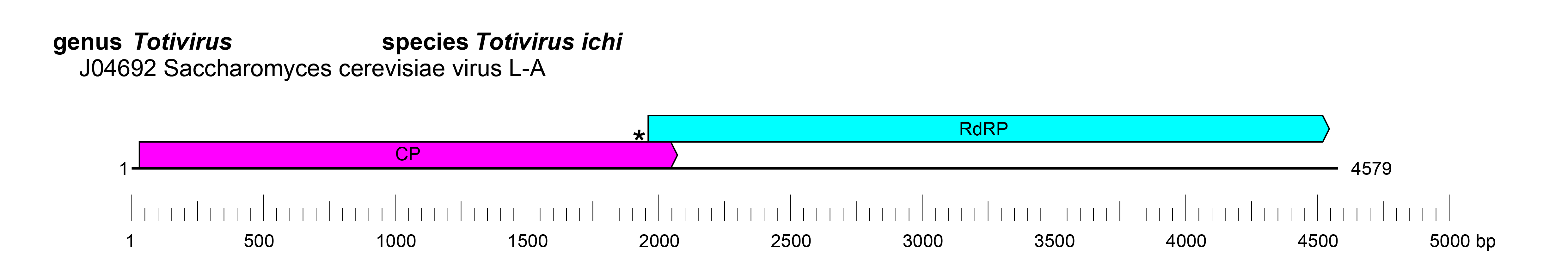 Orthototiviridae genome