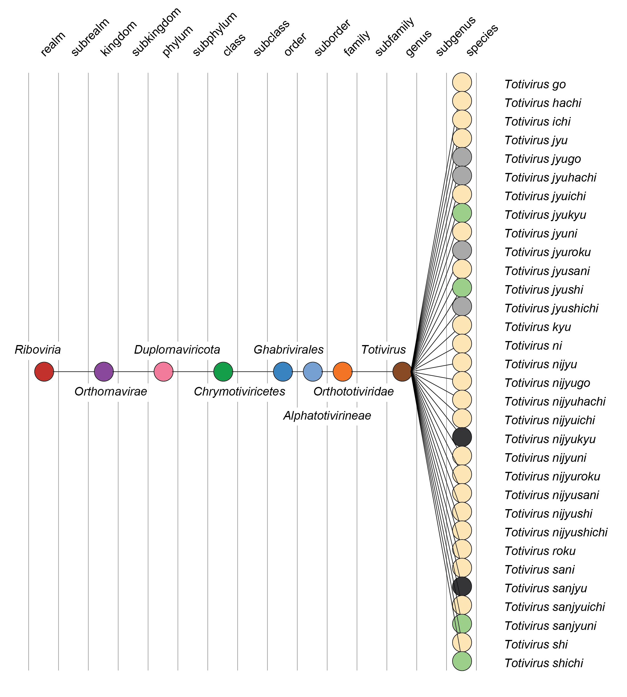 Orthototiviridae taxonomy