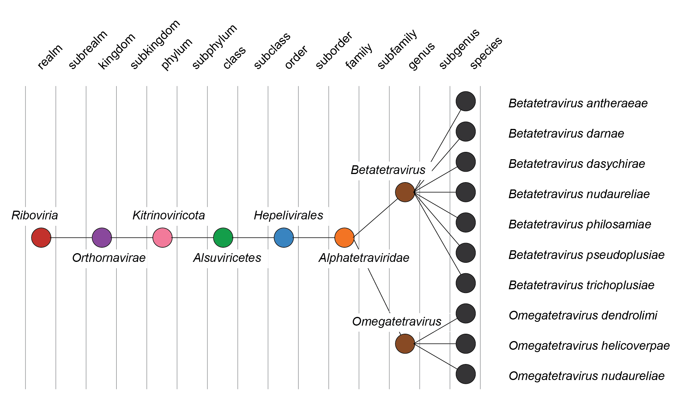 Alphatetraviridae taxonomy