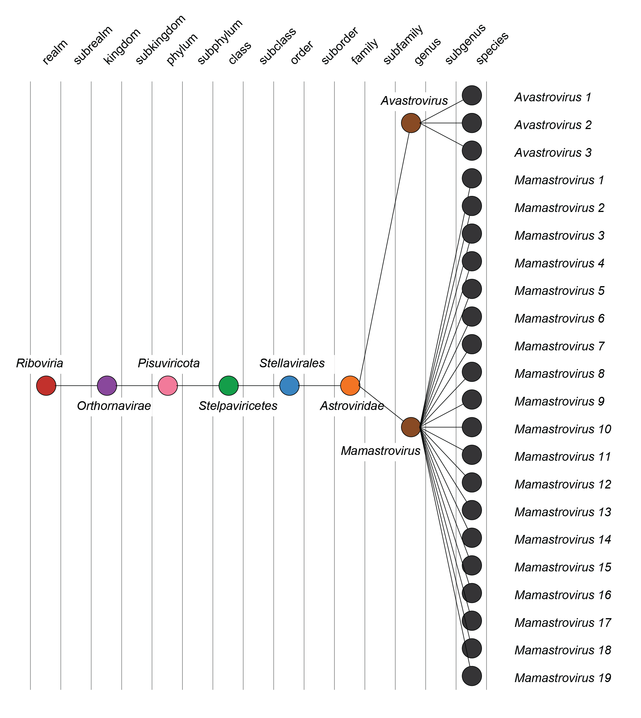 Astroviridae taxonomy