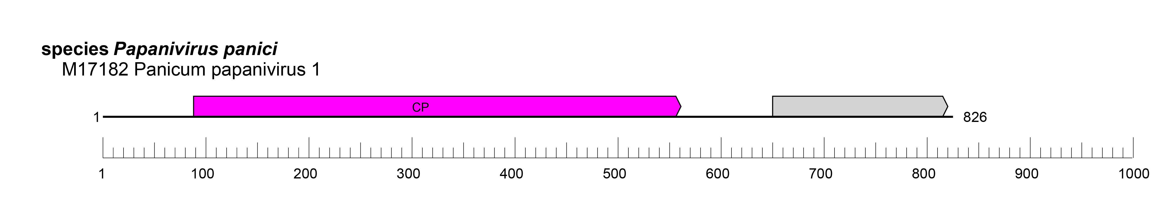 Pamosaviridae genome