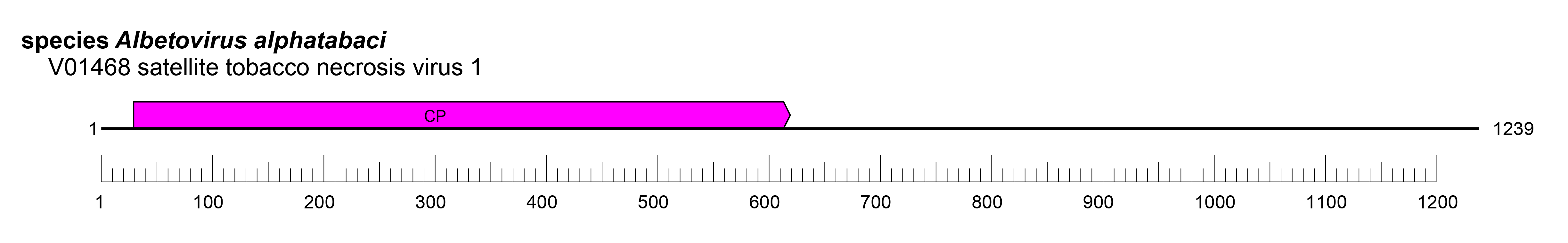Tonesaviridae genome