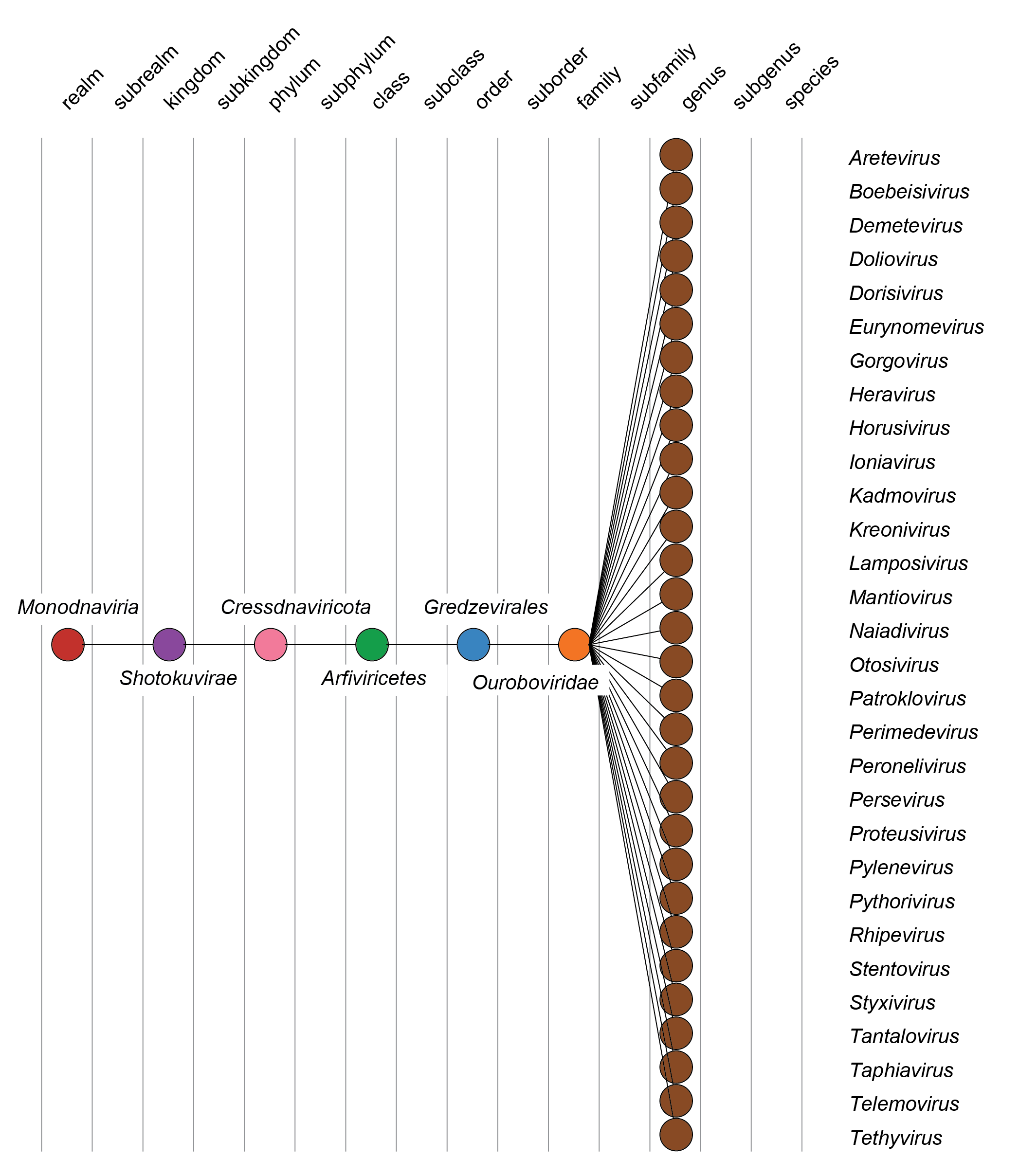 Ouroboviridae taxonomy