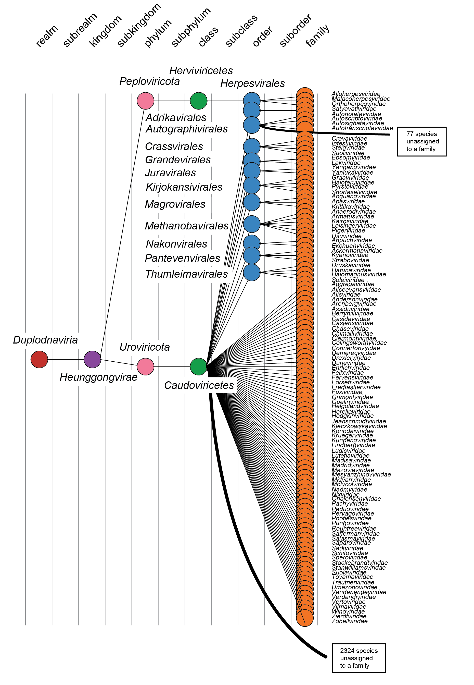 Duplodnaviria taxonomy